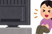 【悲報】10～20代の約半数、ほぼテレビを見ていないことが判明ｗｗｗ