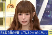 【画像】益若つばさ(40)、またちょっと顔が変わる