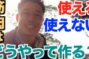 筋トレ民に質問なんやけど、使える筋肉欲しいんやけど