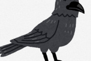 【衝撃】カラスさん、あまりにも『謎』が多すぎるｗｗｗｗｗｗ