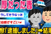 【2ch考えさせられるスレ】警察ですが奥さん逮捕しました→結果【ゆっくり解説】
