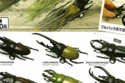 【画像】虫さんが走るおもちゃ発売
