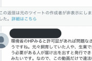 【悲報】きまぐれクックさん、もう滅茶苦茶?