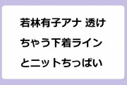若林有子アナ 透けちゃう下着ラインとニットちっぱい！タイトワンピースのヒップライン狙いのバックショット