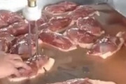 【動画】中国、培養肉より簡単に肉を増やすことに成功