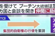 【爆笑】プーチン「集団的自衛権を行使します！旧ソ連の国々協力して！」→参加国０人