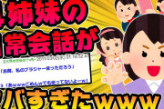 【2ch面白スレ】4姉妹だけど、淡々と日常会話書いてみるｗｗｗｗ【ゆっくり解説】