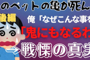 【後編】嫁が大切にしていた亀が死んだ。俺が寿命だったんだよと慰めても違うと言ってきかない→戦慄の真実【2chゆっくり】