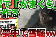 【2ch動物スレ】降り積もった雪で「かまくら」を作る猫←せっせと雪ほってる姿が可愛い