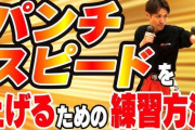 プロボクサーのパンチの速さ「40km/h」大谷翔平の球速「160km/h超」←これｗｗｗｗｗｗｗｗｗｗ