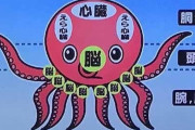 【悲報】タコ、ただの化け物だった、脳が９個で心臓が３個ある