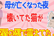 【2ch切ない話スレ】母に懐いてた猫→母がなくなった日に部屋の隅で震えてた