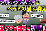 【驚愕】家で祀っていた石とペットの猫が消えた→近所の泥ママが血まみれで発見された【2ch修羅場スレ・ゆっくり解説】