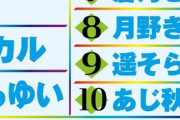 【画像】好きなエロゲ声優ランキング最新版が発表される