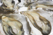 【朗報】牡蠣で絶対当たらなくなる方法が発見されるｗｗｗｗｗｗｗｗｗｗ