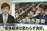 【悲報】日本「おかしいぞ……。増税したのに国民が消費しない……。なんでなんや！」