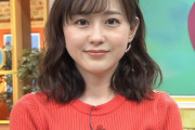 【画像】ひるおびの若林有子アナ、おっぱいエッチ過ぎる