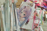 【画像】エロゲやグッズの整理どうやってる？