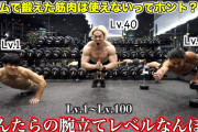 謎の勢力「筋トレでついた筋肉は役に立たない」