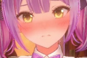 【画像】バニーガーデン、ついにDLCで「逆バニー」を実装wwwwwww