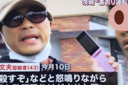 【GIF】煽り運転の禿、逮捕の瞬間がコレｗｗｗｗｗ