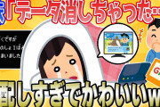 【2chスレほのぼの】妹「お兄ちゃんのドラクエのデータ消しちゃった…」→結果