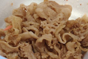 【画像有り】すまん、吉野家で牛丼（並）頼んで脂身を除去したらこんだけ残ったんやが