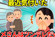 【2ch】トメ「アンタは来なくていいから！」→実は優しいトメさんなんだと気付いた…＆自称『厳しい姑様』【ゆっくり】