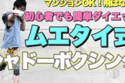 【悲報】俺ニート、毎日ニ十分シャドーボクシングやってるけど痩せない