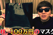 【画像】ヒカキンさん、100万円のマスクを購入してしまう