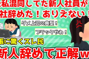 【報告者がキチ】「公私混同していた新人社員が会社辞めた！ありえない！」女性責任者の主張にスレ民「新人は辞めて正解！ブラックすぎｗ」【2chゆっくり解説】