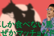 馬が草食ってるだけで筋肉ムキムキなの見るとバカらしくなってくるよなｗｗｗ
