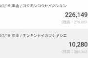 【画像】25歳女の障害年金の金額がこちら