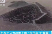 【朗報】新しく見つかったナスカの地上絵、かわいい件ｗｗｗｗ