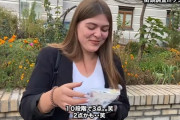 【悲報】ウクライナ人女子「これが日本の親子丼？ゲロマズですね」