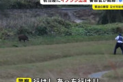 【朗報】日本の警察官さん、イノシシ相手でも発砲前の警告を怠らない
