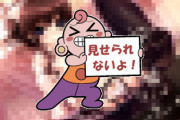 刑法175条「エロ漫画で性器にモザイク入れないと処罰します」←これ