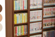 エロ漫画大量にもってるんやが、まじで収納ケースに悩んでる…