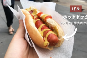 【画像】1ドルで食える海外のジャンクフード