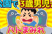 【2ch面白いスレ】公園で鳩まみれで逃げまどう３歳男児→イケメン男子高校生登場【恐怖】