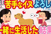 【2ch ほっこり】妹「ハワイ旅行に行くから犬を預かって」→私「苦手だから無理」と断ったが、結局世話することになり…