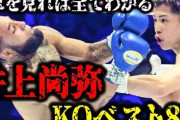 【謎】井上尚弥という国民的英雄が現れたのにボクサーを志す少年が全く増えない件