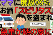 【2ch泥ママ2選】① 泥ママにスピリタスを盗まれた。24していると、隣の家に救急車が来て…→ヤバい展開　② SCでビール3箱買ったら、泥ママにカツアゲされた→結果【ゆっくり解説】【スカッと/修羅場】