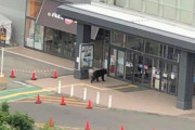 【画像】イオンで3日間ヒグマから逃げ切ったら100万円！