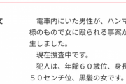 【悲報】電車にハンマー女、男性殴られるwww