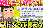【2ch面白いスレ】職歴無しニートのワイ、とうとう50歳になるも人生に絶望…【ゆっくり解説】