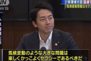 小泉進次郎  顔A スピーチA 家柄A スター性S←こいつが失敗した理由