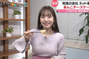 【画像】日テレニュース番組のおっぱい要員が可愛すぎる