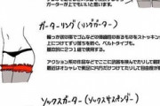 【画像】ガーターベルト、パンティが上で確定