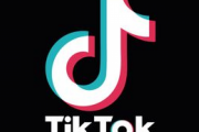 【悲報】TikTokの米欄、バカすぎるwww